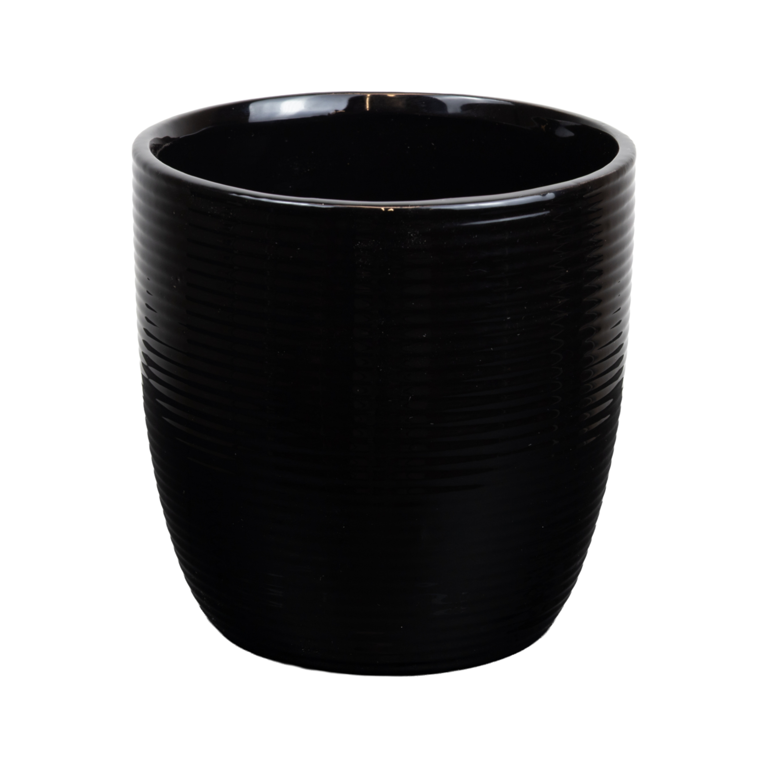 Сосна горная Пумилио